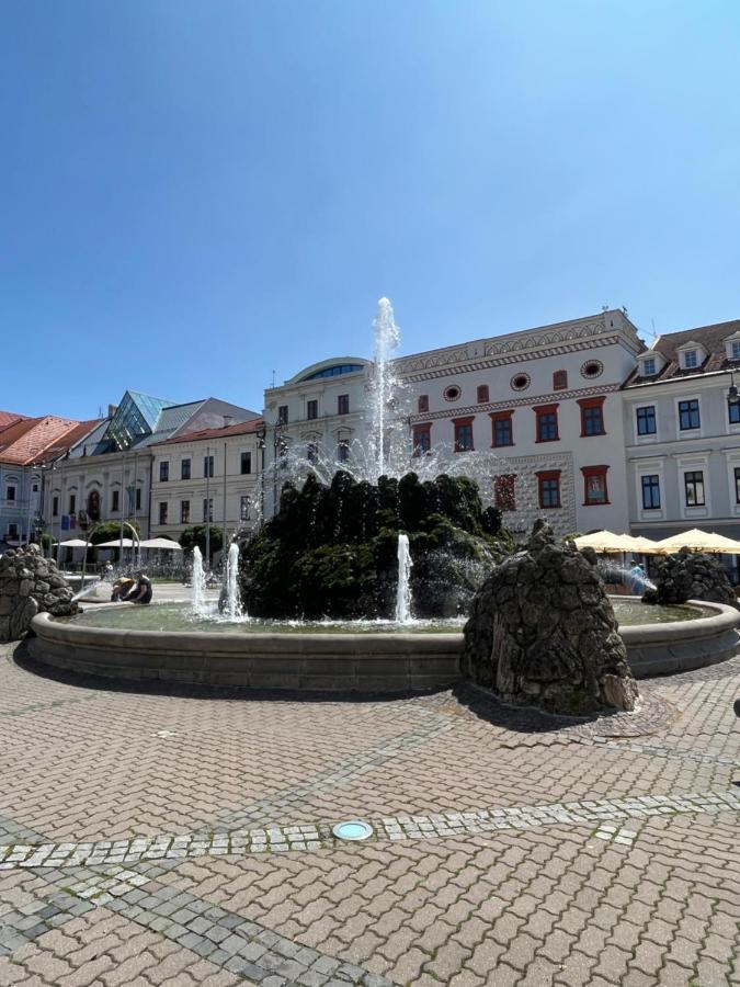 Apartman Viki Banská Bystrica Exterior foto